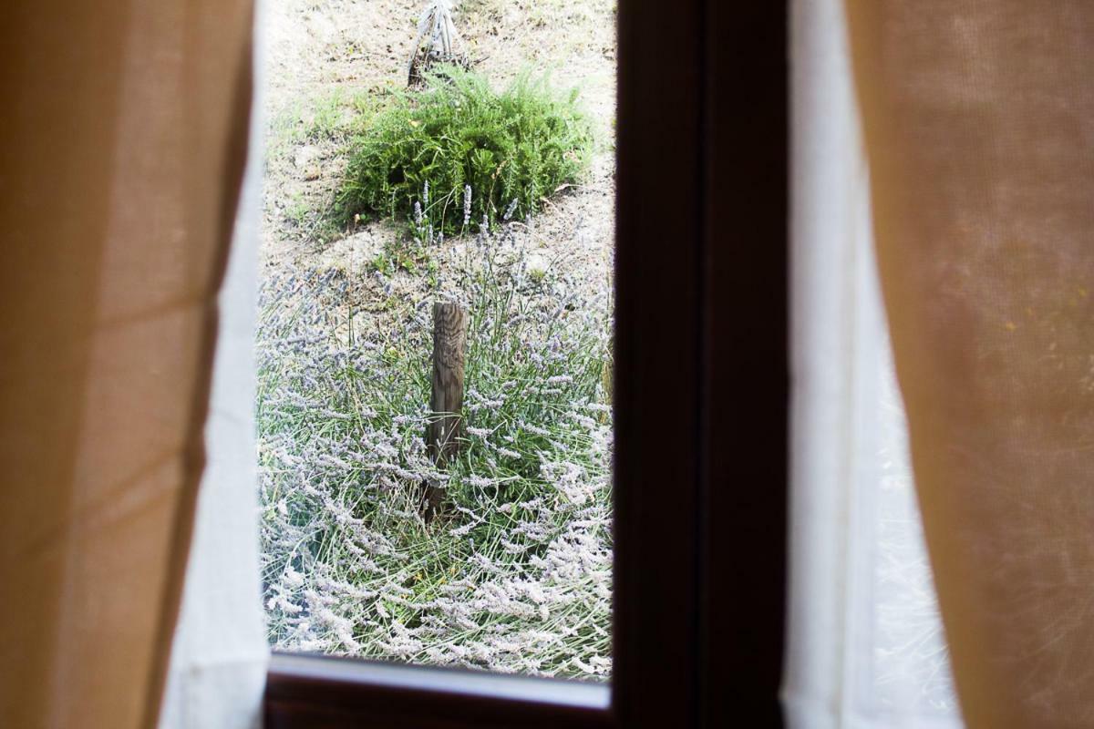 Agriturismo La Ca Veja Монфорте-д'Альба Екстер'єр фото
