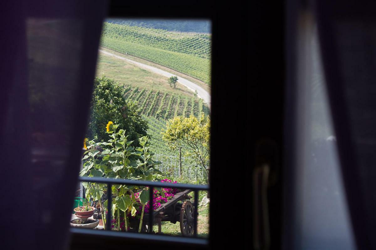 Agriturismo La Ca Veja Монфорте-д'Альба Екстер'єр фото